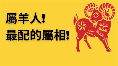 2023屬羊運勢1991|属羊1991年出生的人2023年全年运程运势